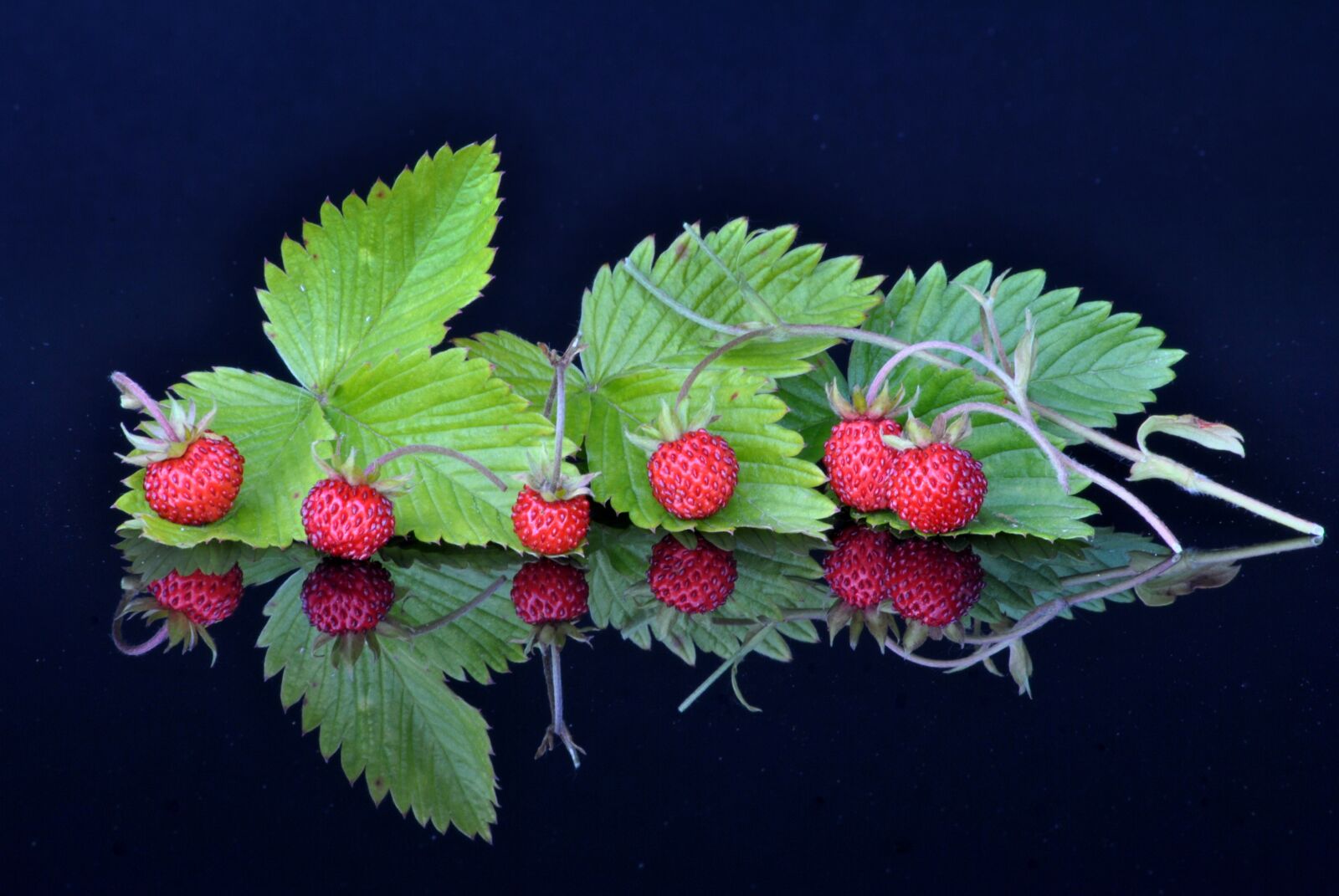 Nikon D3000 sample photo. Fruit fruits, spiegelug, experiments photography