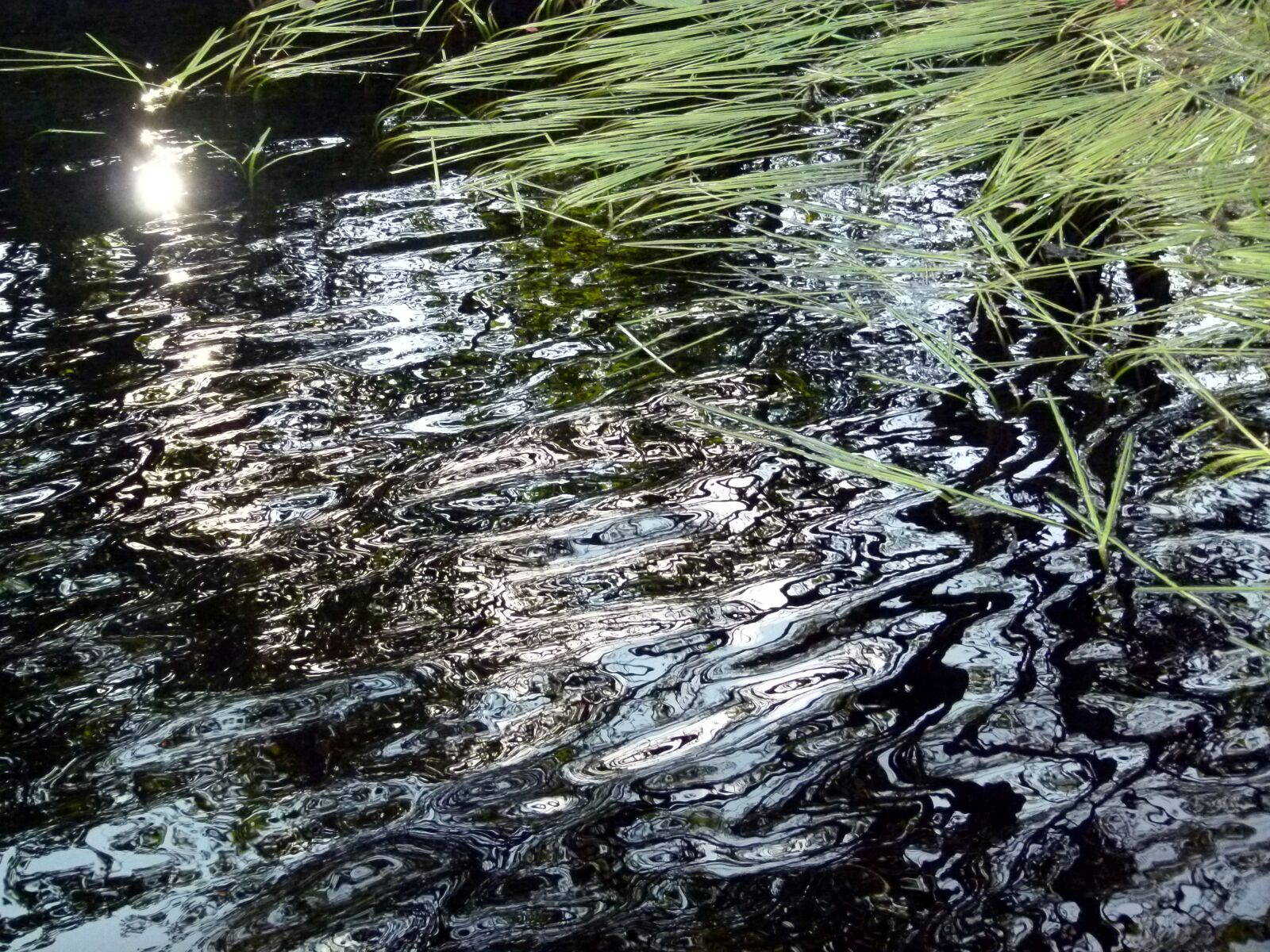 Panasonic Lumix DMC-FZ100 sample photo. Water, reflection, surface photography