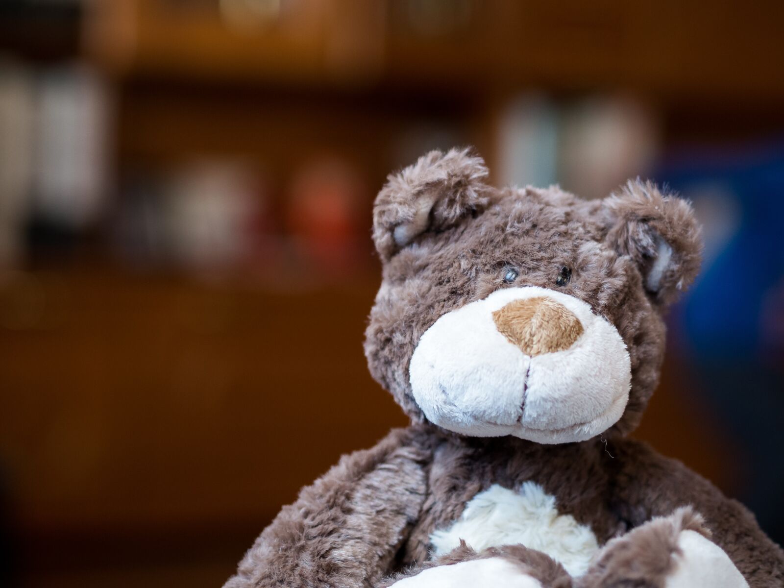 Olympus OM-D E-M10 II + Olympus M.Zuiko Digital 45mm F1.8 sample photo. Bear, teddy, cute photography