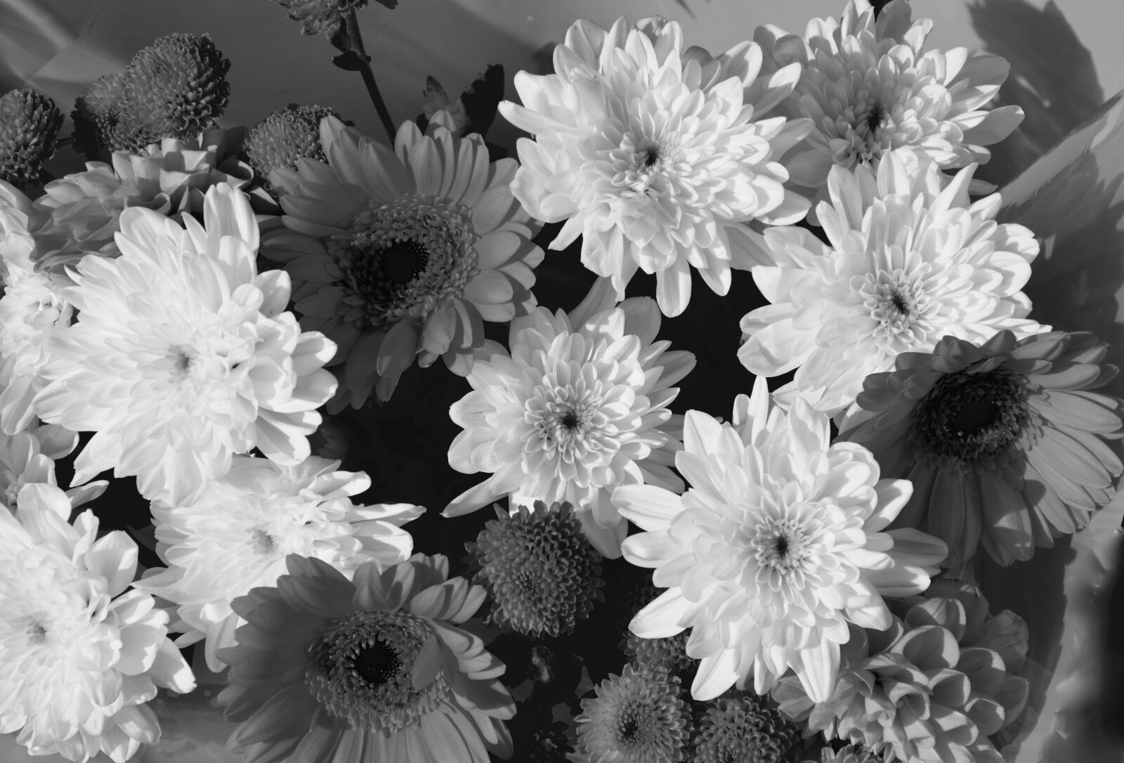 Nikon D5200 sample photo. Flowers, floral composition, photo photography