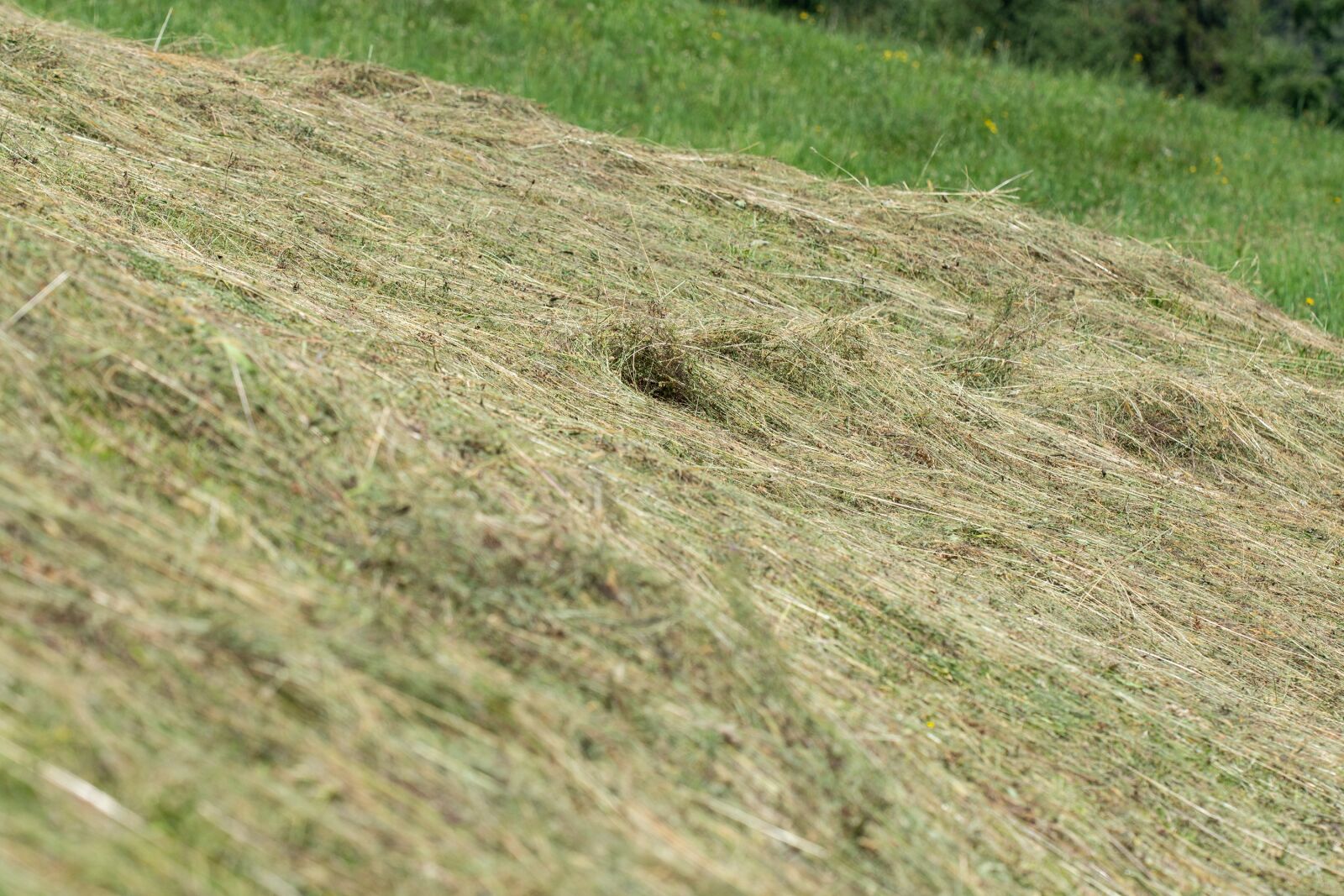 Nikon D7100 sample photo. Hay, agricultural land turns photography