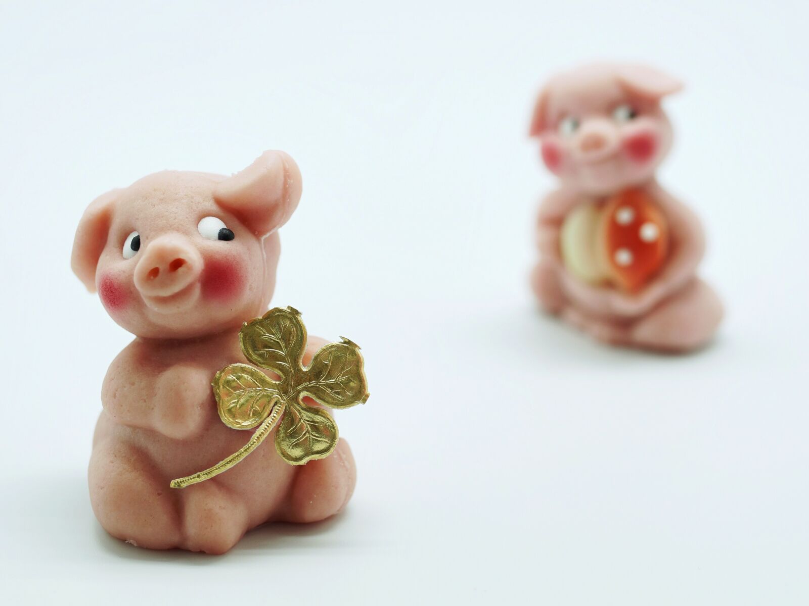 Sony ILCA-77M2 sample photo. Luck, piglet, lucky pig photography