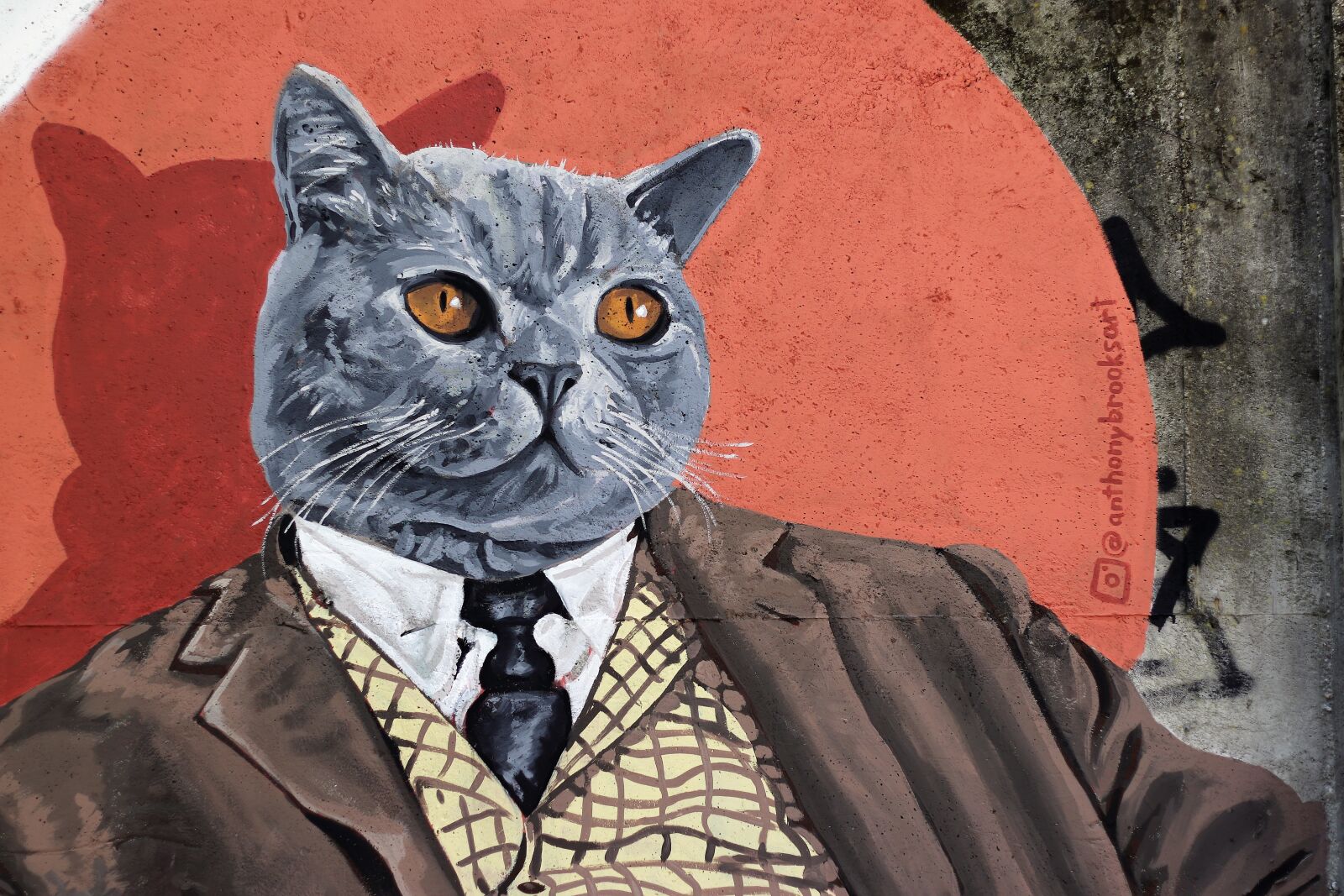 Canon EF 50mm F1.8 II sample photo. Graffiti, cat in suit photography