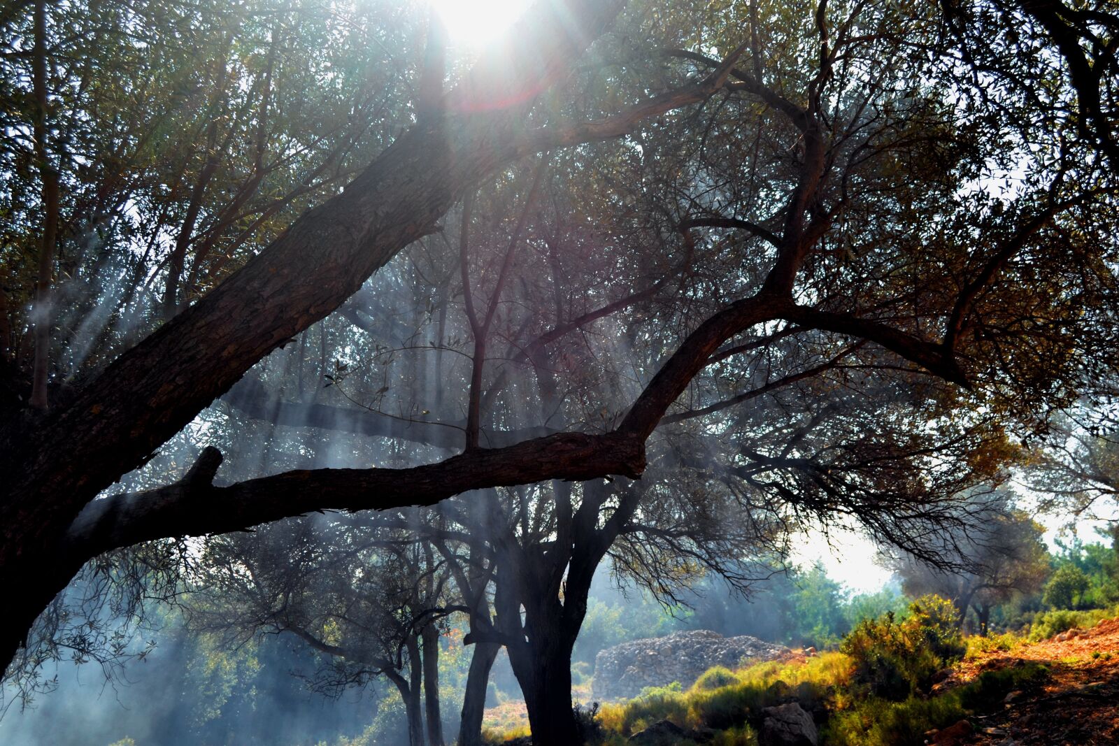 Nikon D3100 sample photo. Nature, landscape, shadow photography