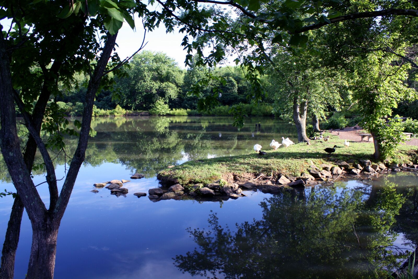 Canon EOS 1000D (EOS Digital Rebel XS / EOS Kiss F) sample photo. Lake, tranquil, peace photography