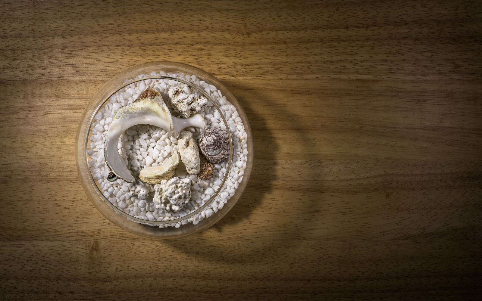 Sony Alpha NEX-5N sample photo. Fish tank, glass, wood photography