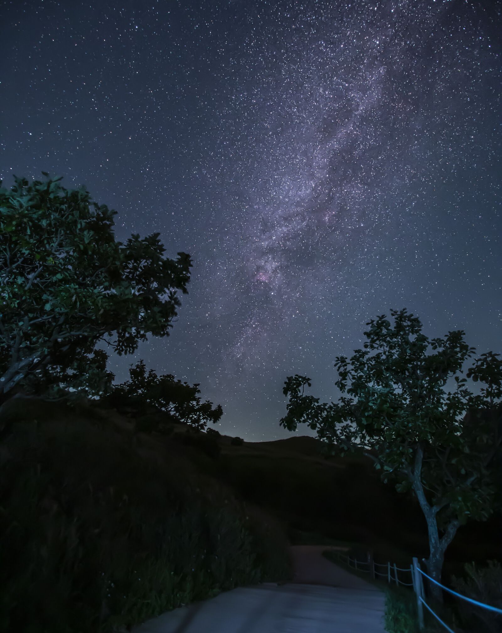 Canon EOS 6D + Canon EF 16-35mm F2.8L II USM sample photo. Starry skies, path, lane photography