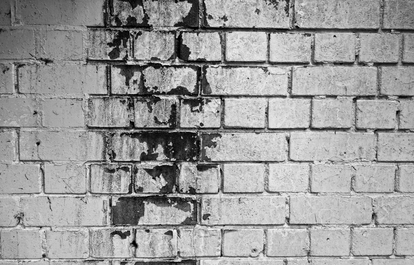 Sony Cyber-shot DSC-RX100 sample photo. Brick wall, white wall photography