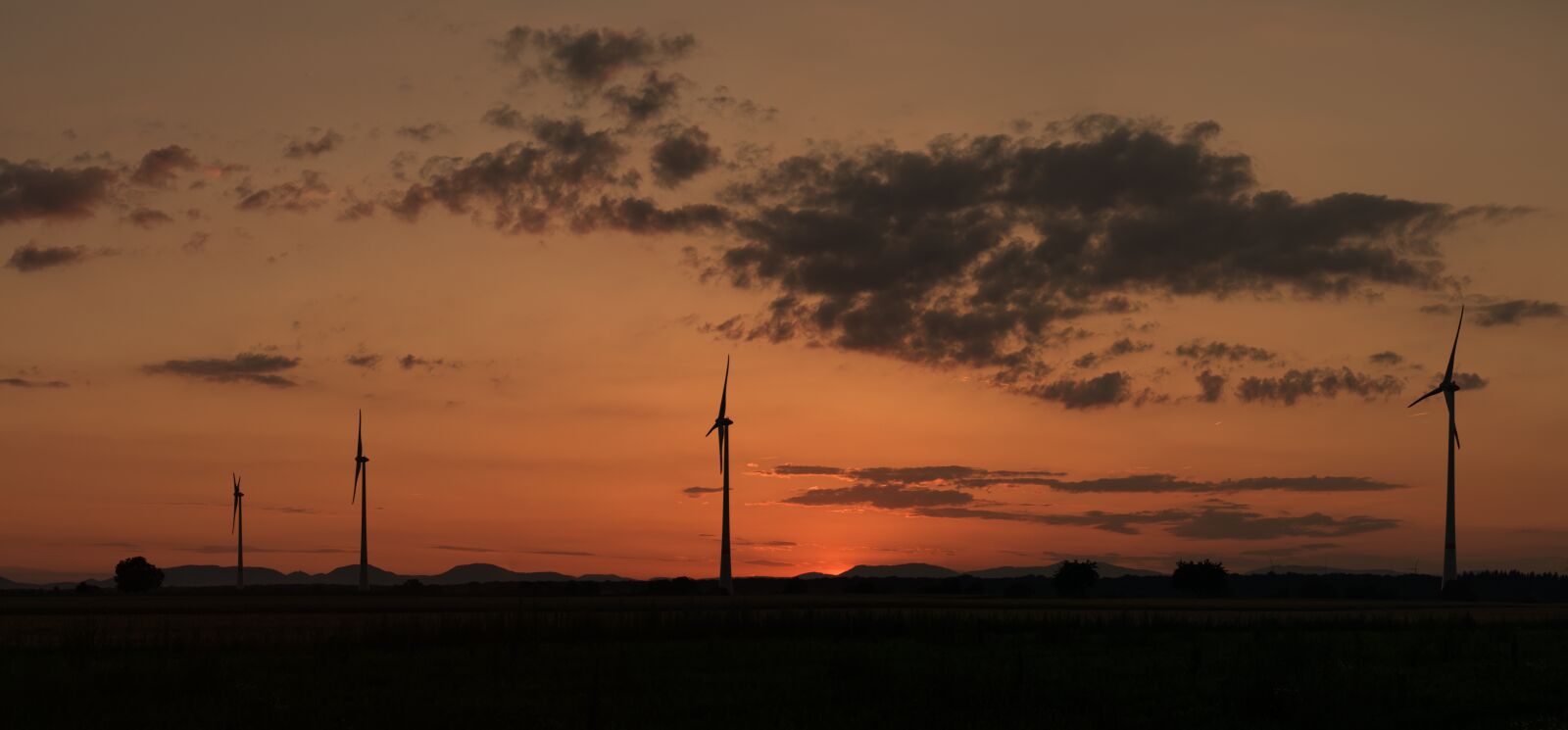Sony a6000 sample photo. Sunset, windr der, wind photography