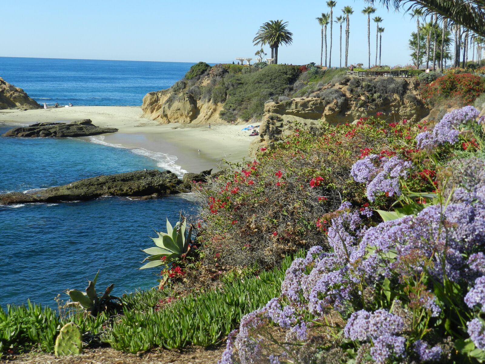 Nikon Coolpix P500 sample photo. Ocean, laguna beach, california photography