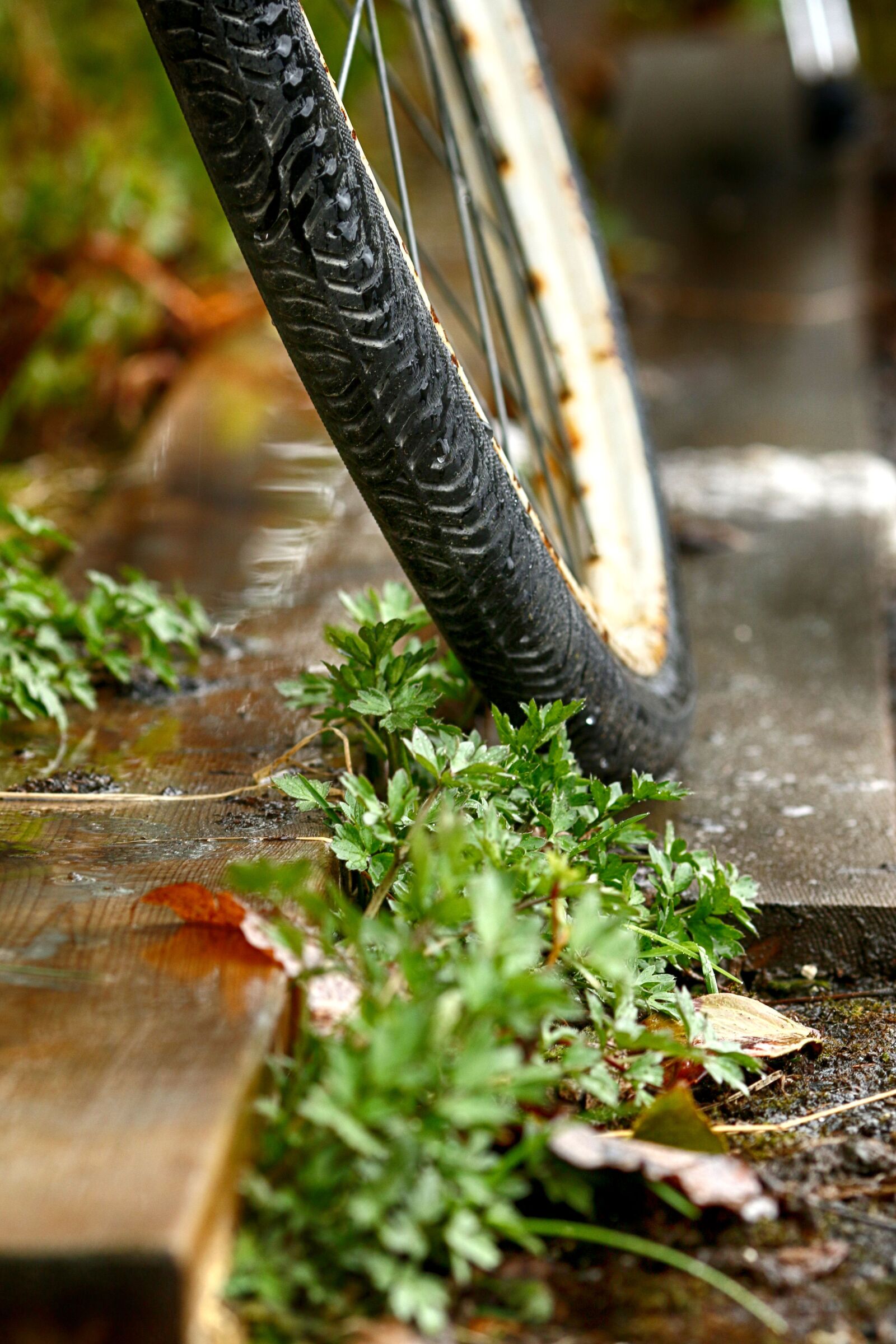 Canon EOS 7D Mark II + Canon EF 135mm F2L USM sample photo. Wheel, bike, outdoors photography