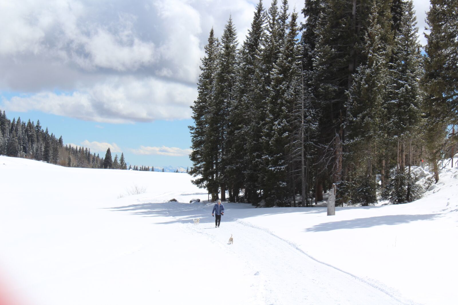 Canon EOS 1300D (EOS Rebel T6 / EOS Kiss X80) sample photo. Winter, snow, mesa photography