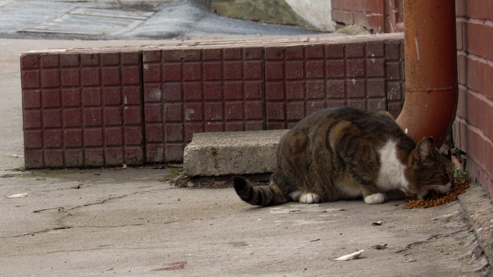Canon PowerShot SX520 HS sample photo