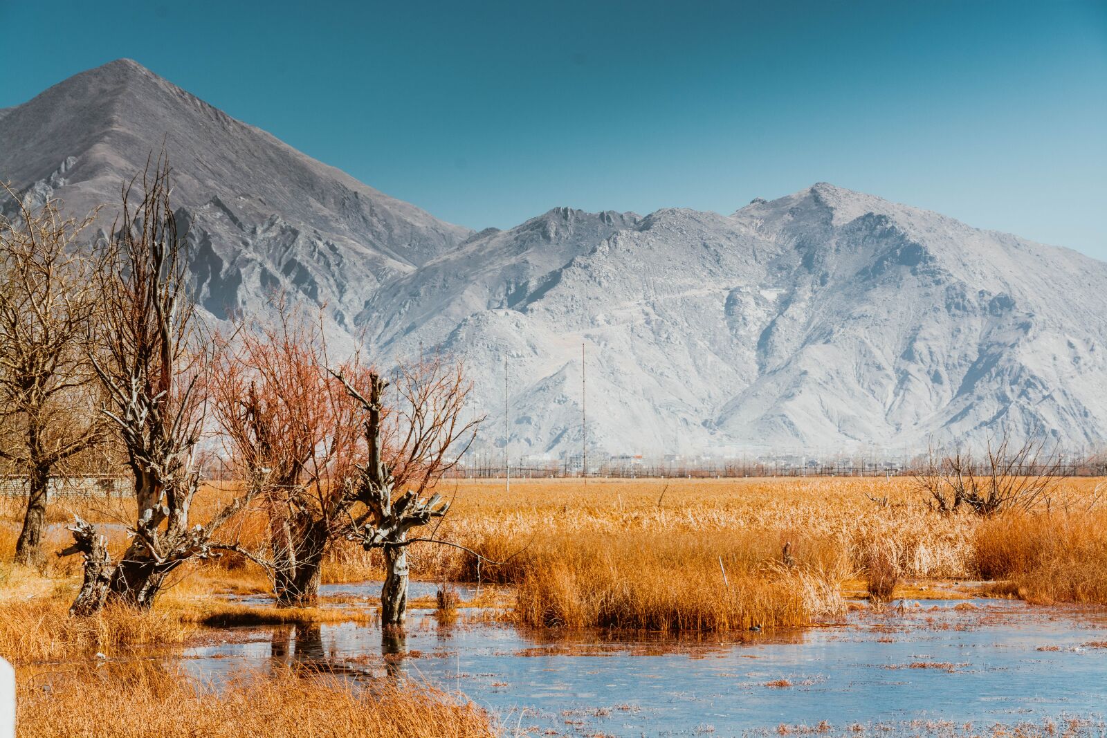 Nikon D7100 sample photo. Tibet, lalu wetland, nyainqentanglha photography