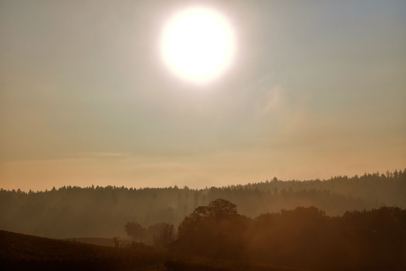 Nikon D5500 sample photo. Sunrise, mood, morgenstimmung photography