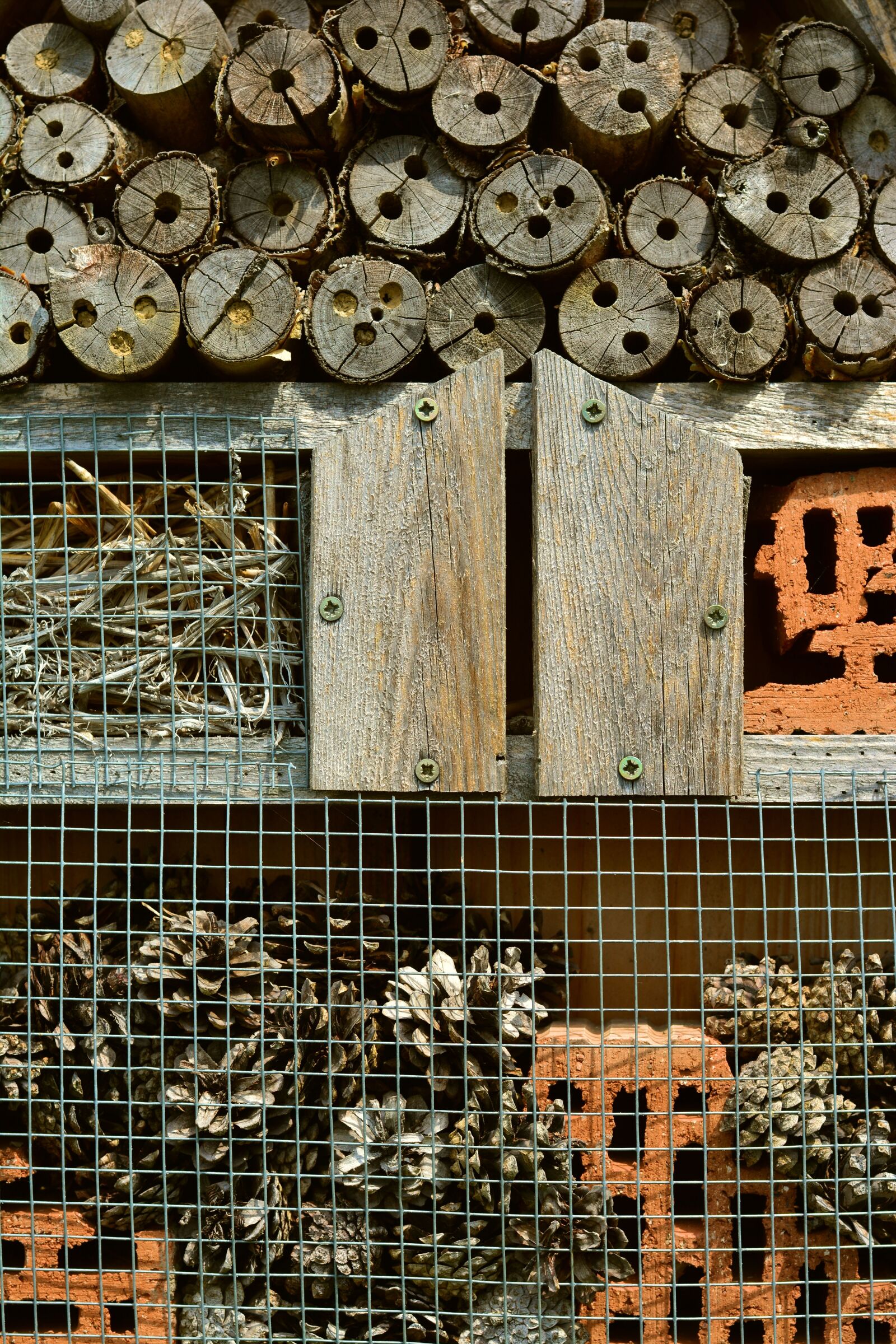 Nikon D5200 sample photo. Insect hotel, wood, perforated photography