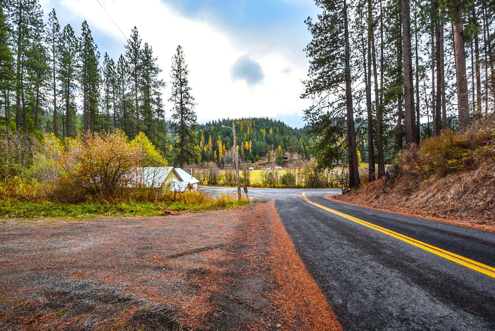 Nikon D5200 sample photo. Country road, trees, rural photography