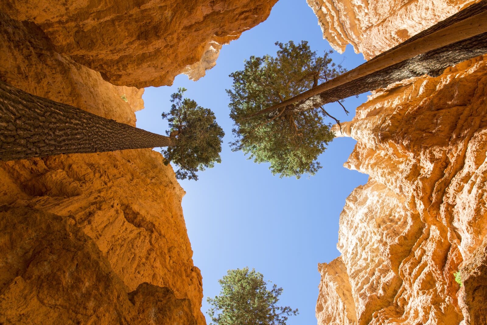 Canon EOS 5D Mark III sample photo. Brice, canyon, rocks photography
