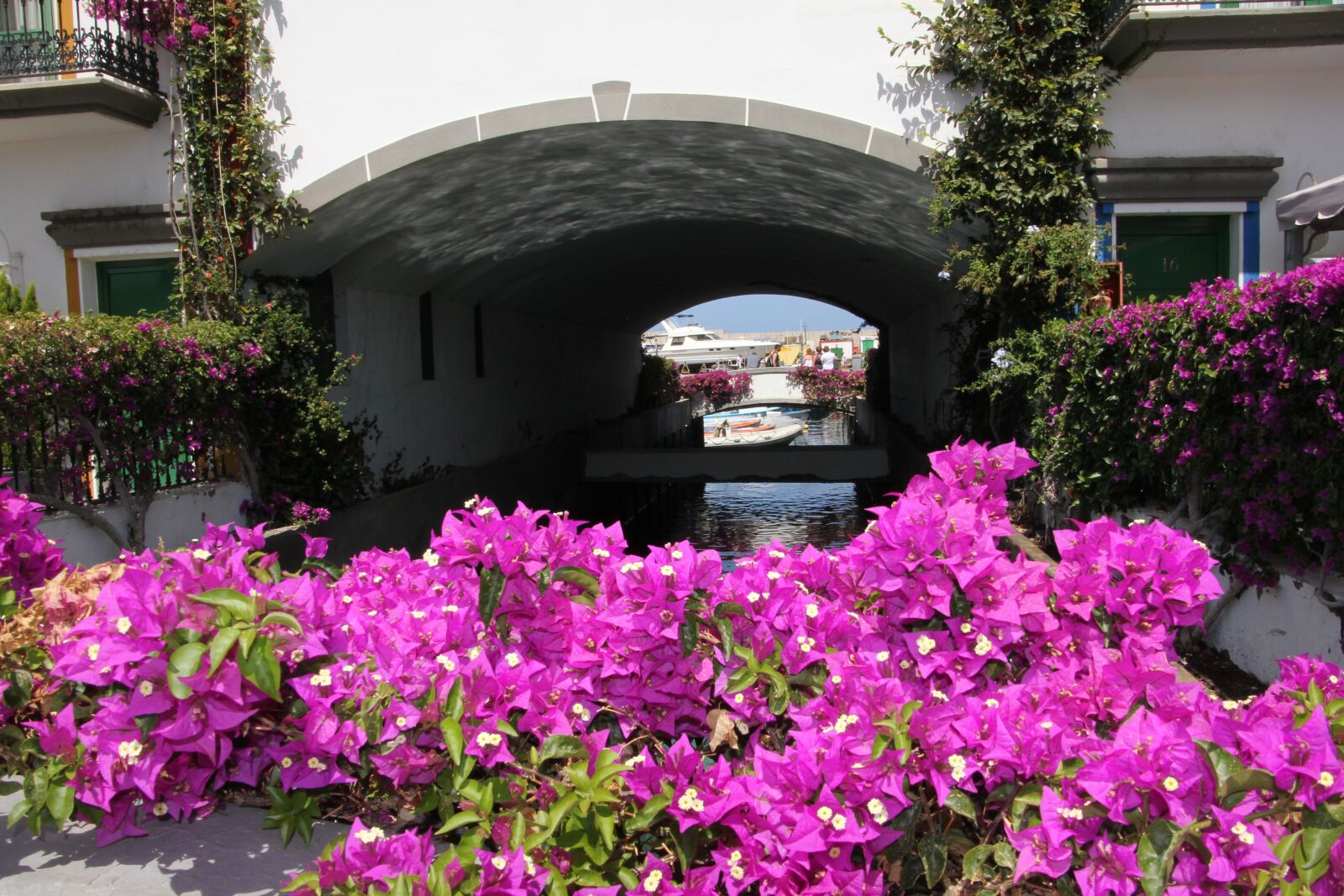 Canon EOS 550D (EOS Rebel T2i / EOS Kiss X4) sample photo. Canary islands, city, canary photography