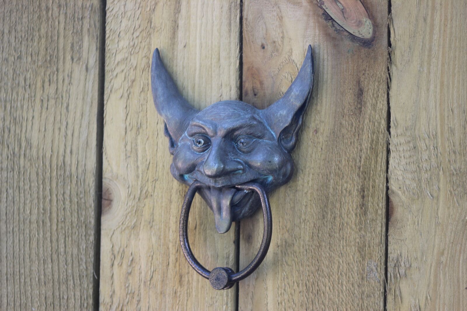 Canon EOS 600D (Rebel EOS T3i / EOS Kiss X5) sample photo. Door, knocker, decorative photography