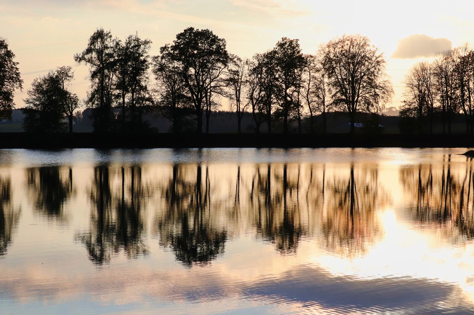 Canon EOS 200D (EOS Rebel SL2 / EOS Kiss X9) sample photo. Lake, lakeside, trees photography