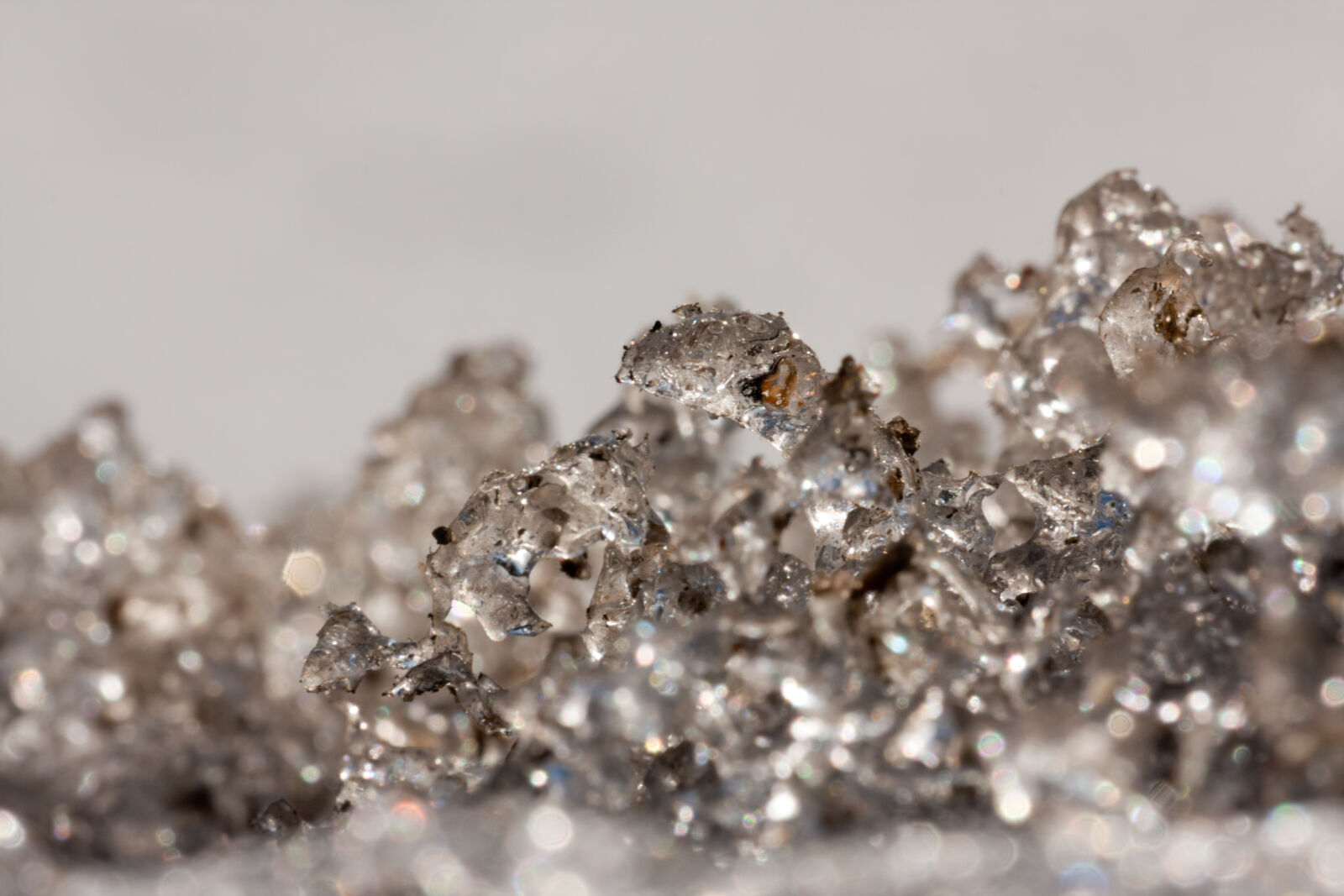 Canon EF 180mm F3.5L Macro USM sample photo