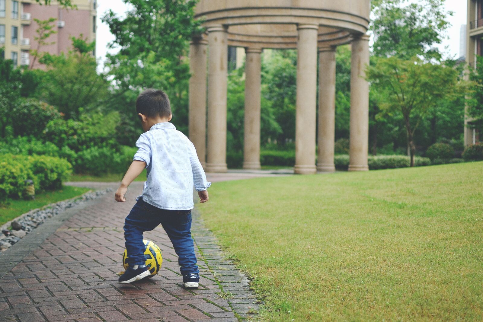 Nikon D3100 sample photo. Boy, sport, cute photography