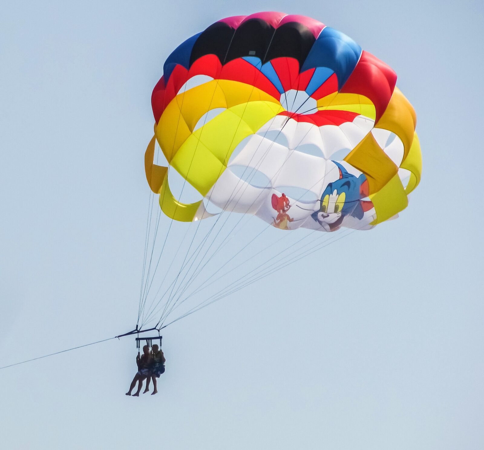 Canon PowerShot SX400 IS sample photo. Parachute, paragliding, cat and photography
