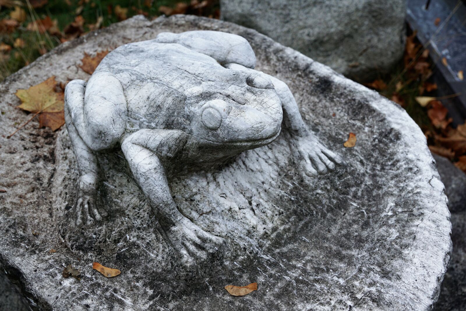 Sony ILCA-77M2 + Sony DT 16-50mm F2.8 SSM sample photo. Frog, stone, sculpture photography