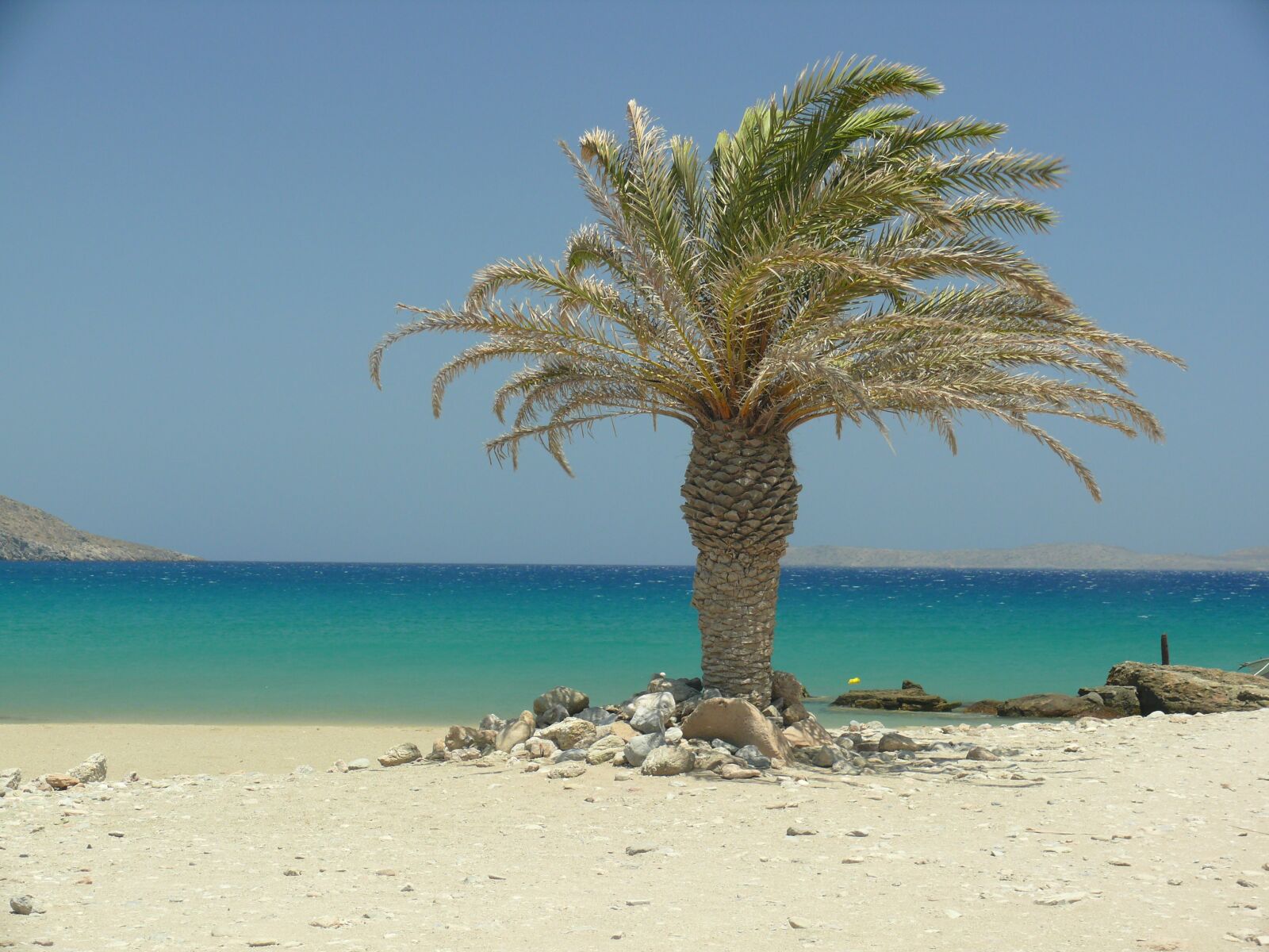 Panasonic DMC-FZ50 sample photo. Crete, palm trees, beach photography