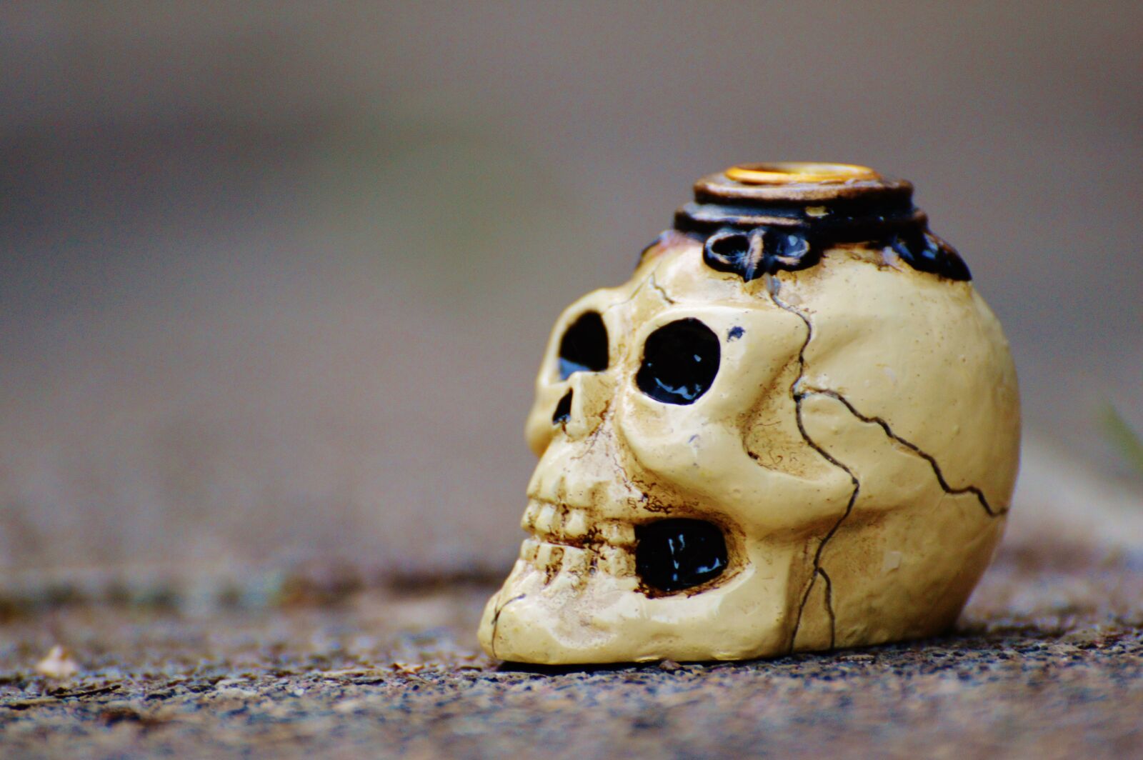Nikon D3200 sample photo. Skull and crossbones, creepy photography