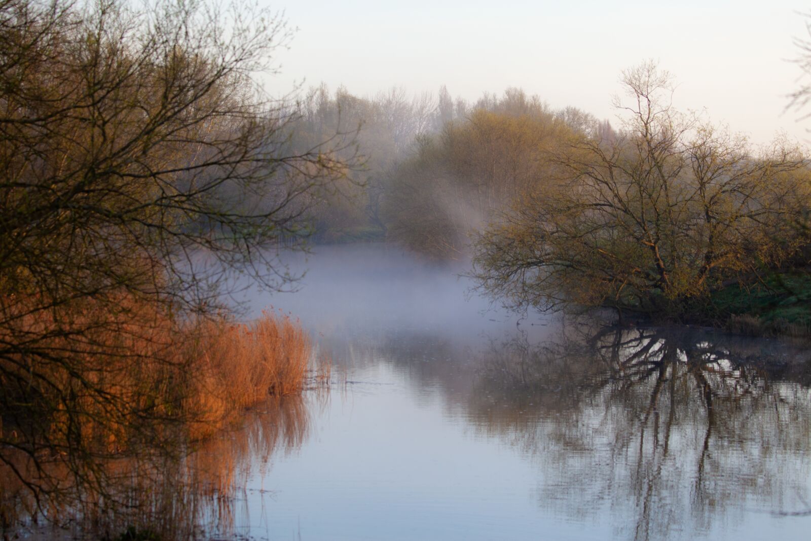 Canon EOS 5D Mark II sample photo. Misty, mist, fog photography