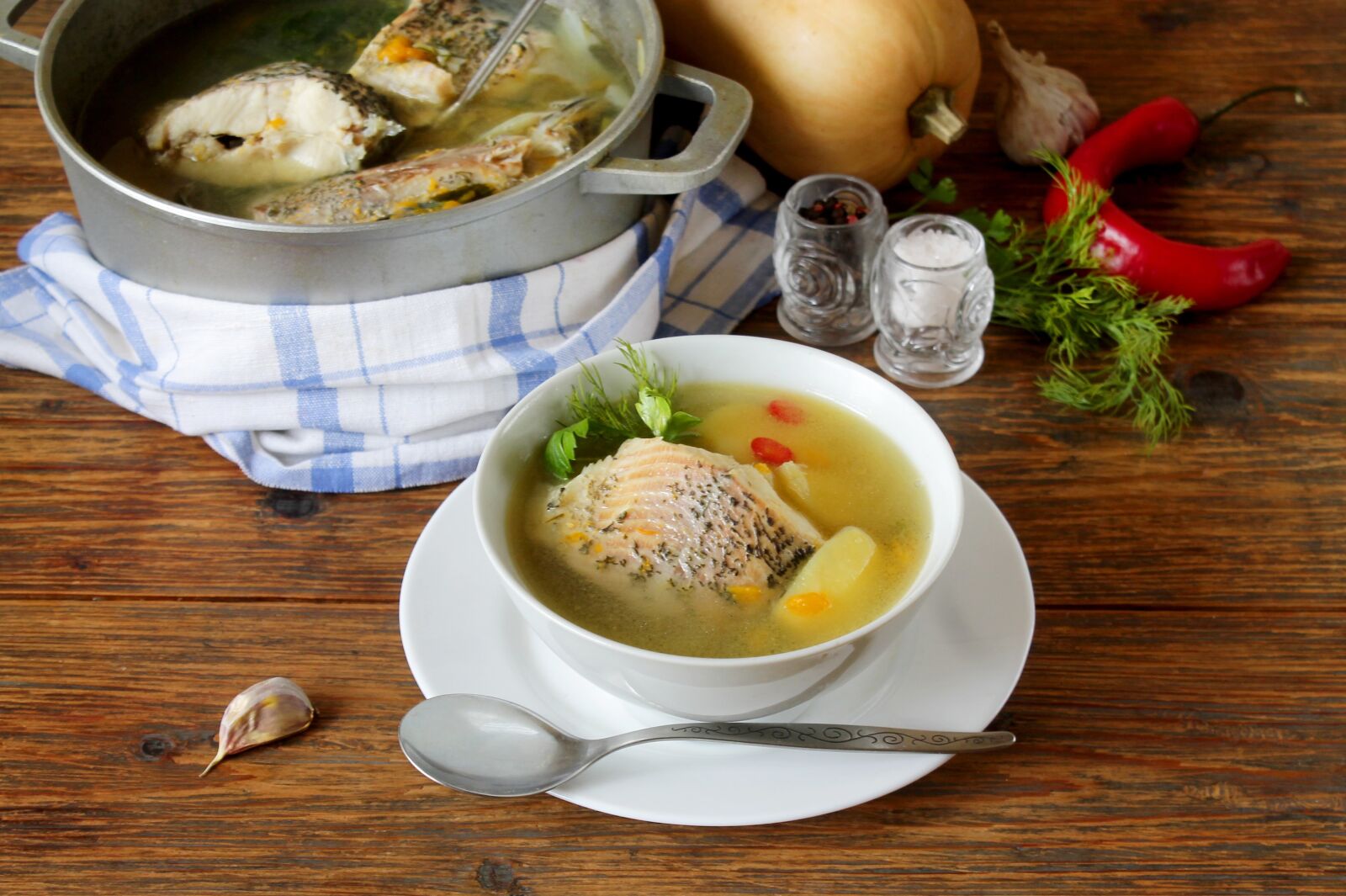 Canon EOS 1100D (EOS Rebel T3 / EOS Kiss X50) sample photo. Fish soup, soup with photography