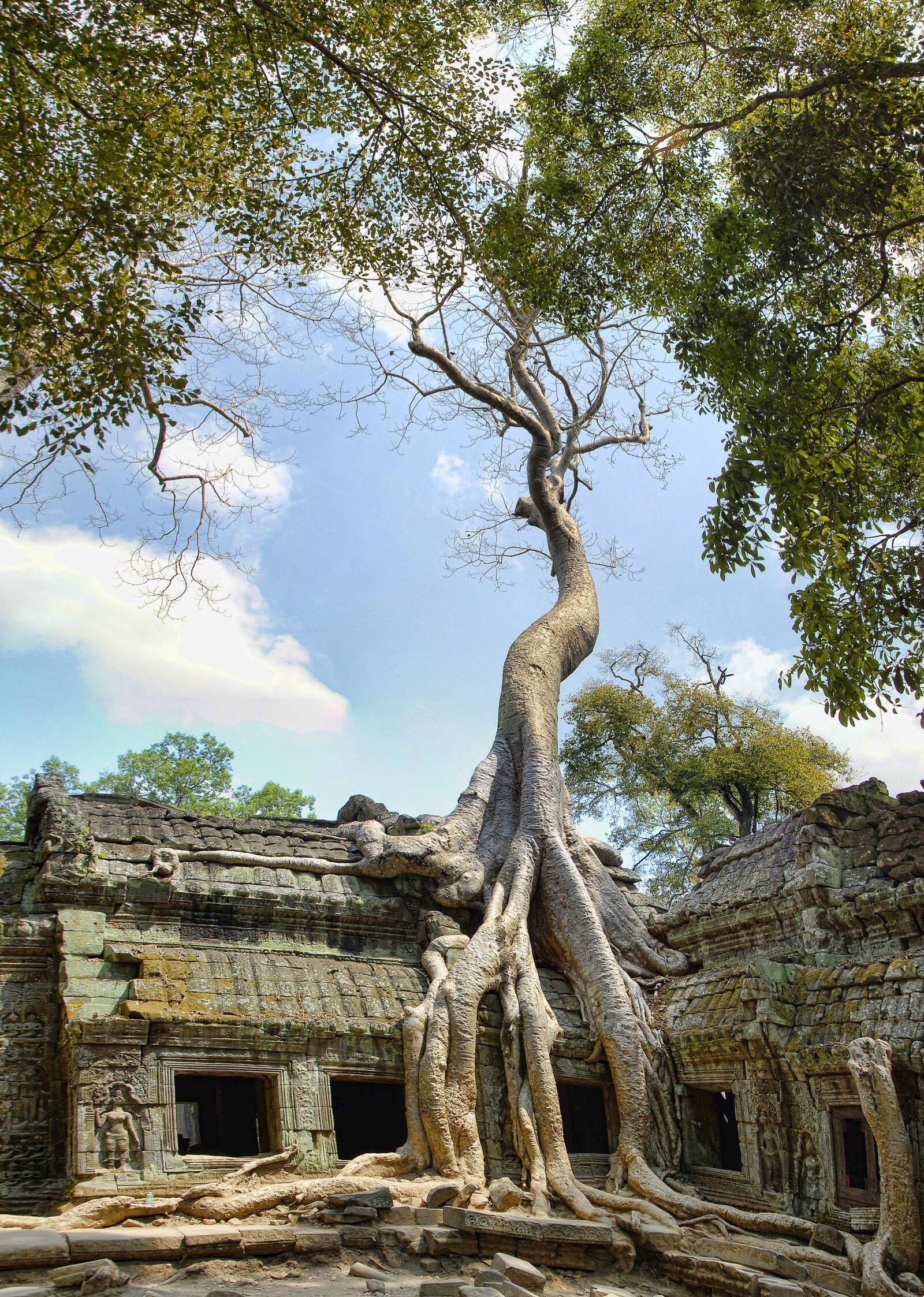Nikon D200 sample photo. Ta prohm, cambodia, angkor photography