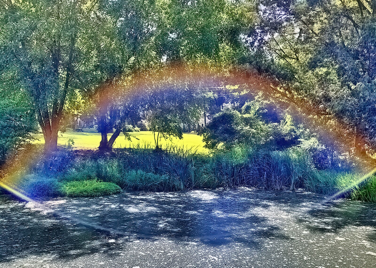 Apple iPhone XR sample photo. Pond, rainbow, light photography
