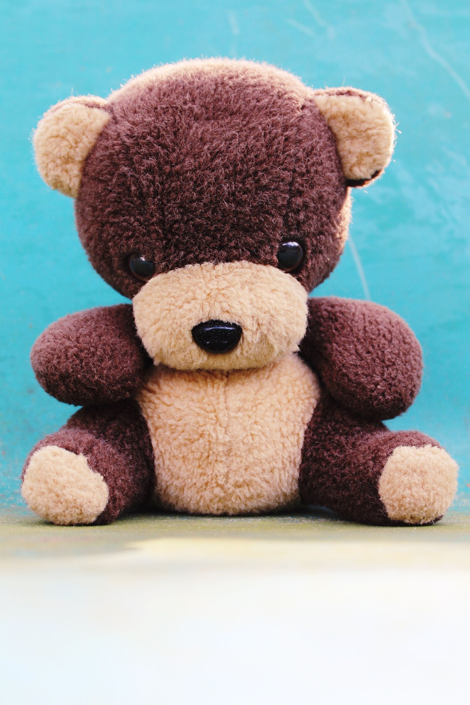 Canon EOS 1200D (EOS Rebel T5 / EOS Kiss X70 / EOS Hi) sample photo. Teddy, teddy bear, bear photography