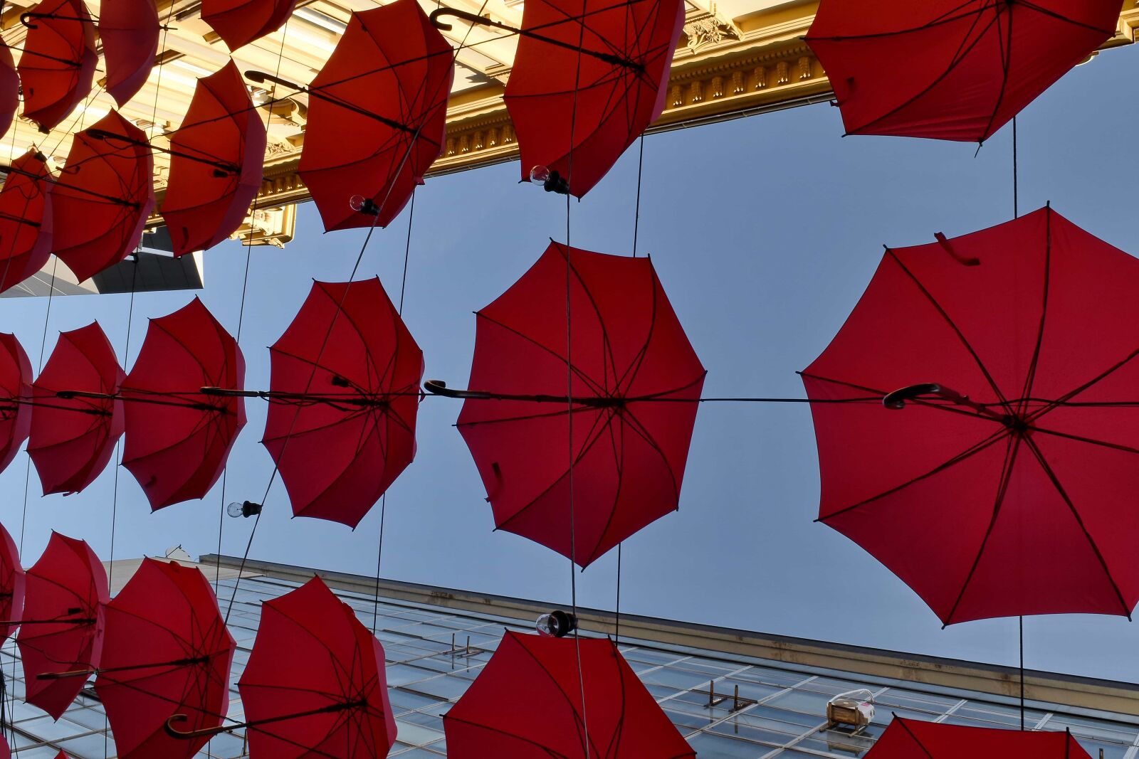 Nikon D5500 sample photo. Umbrella, art, color, festival photography