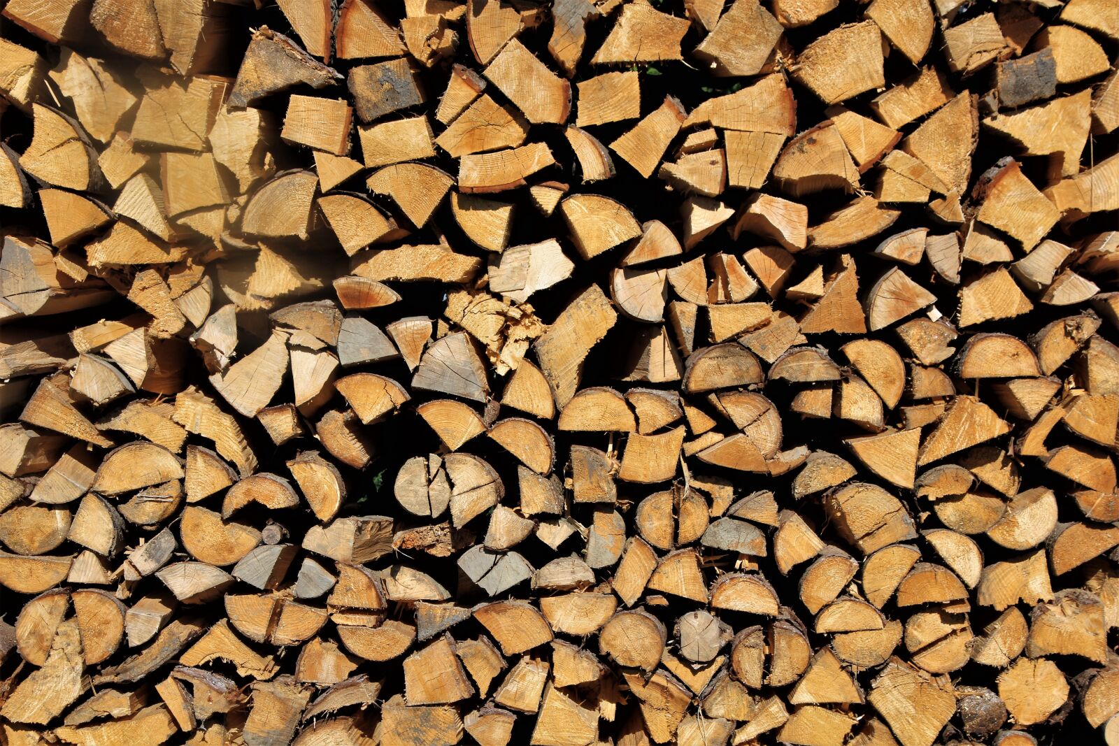 Canon EOS 60D sample photo. Wood, firewood, holzstapel photography