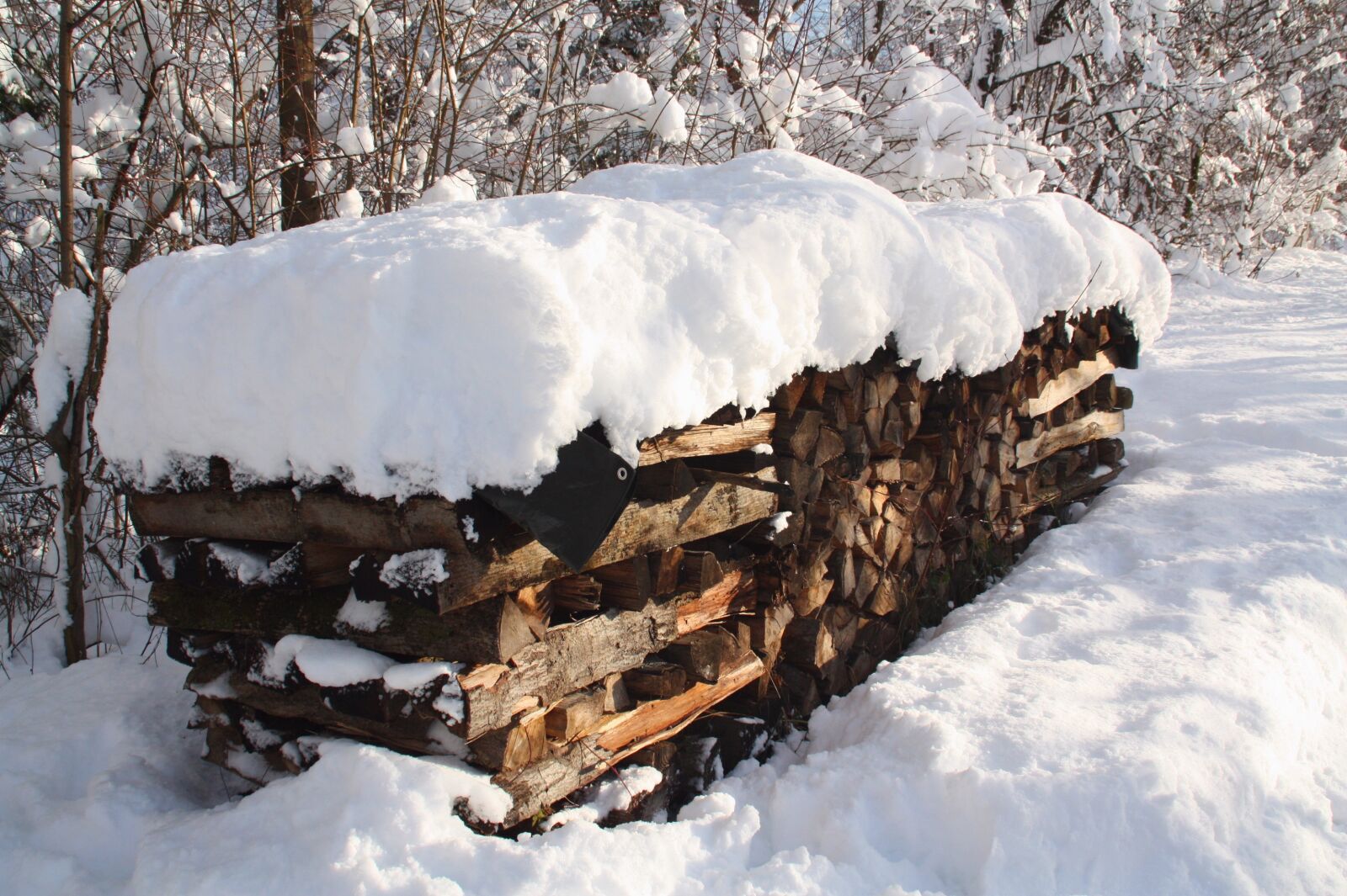 Canon EOS 450D (EOS Rebel XSi / EOS Kiss X2) sample photo. Winter, snow, firewood photography