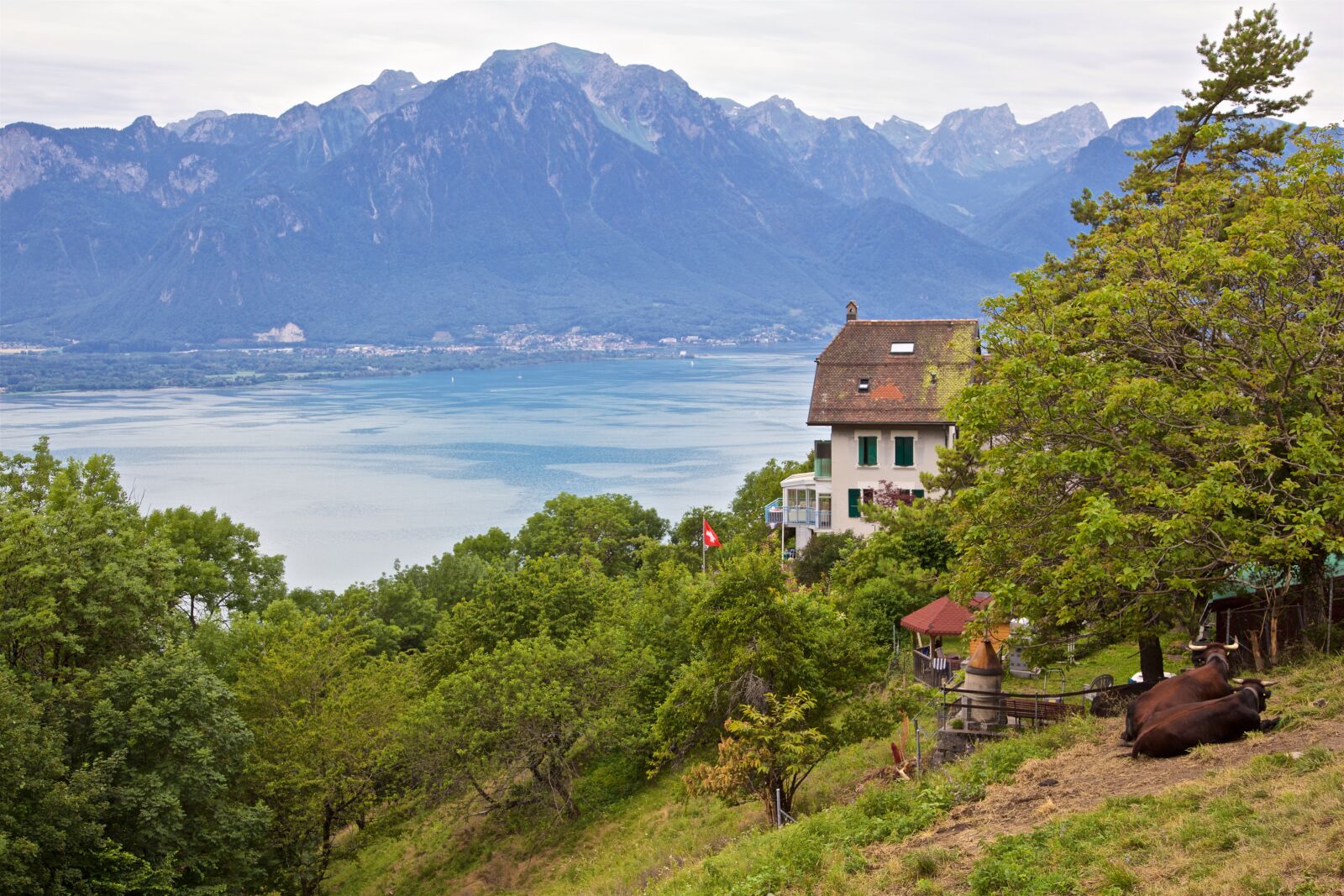 Canon EOS 5D Mark II sample photo. Switzerland, alpine, montreux photography