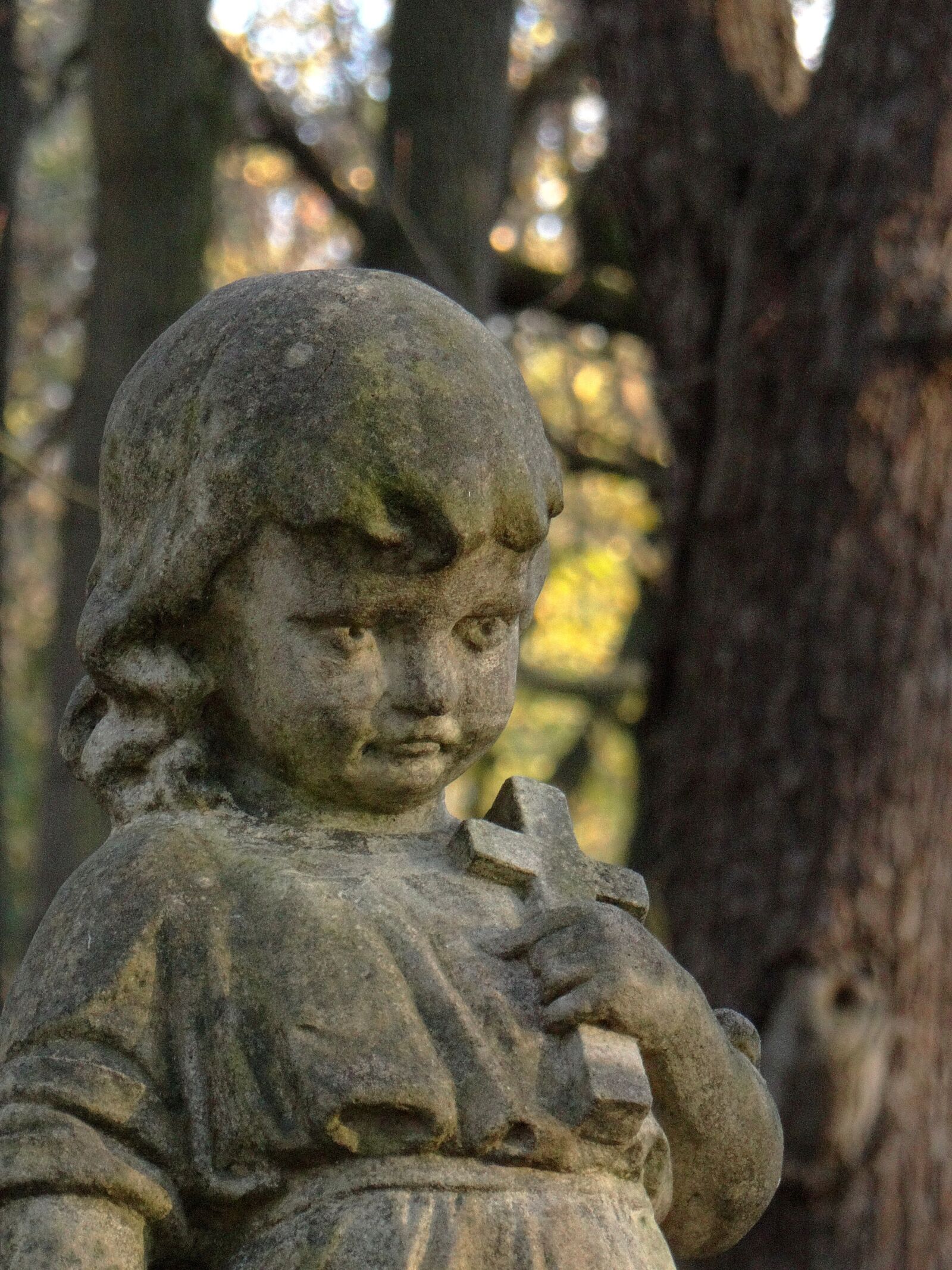Sony DSC-HX200V sample photo. Monument, angel, memory photography