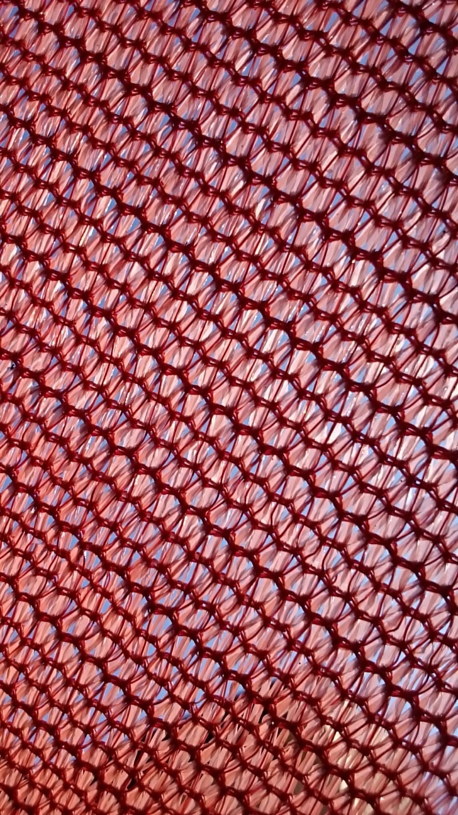 Sony Xperia Z Ultra sample photo. Orange, texture, netting photography