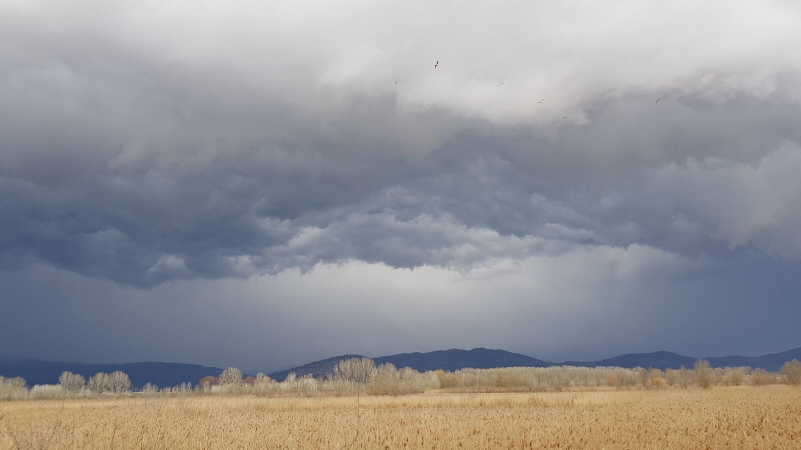 Samsung Galaxy S8 sample photo. Cloudy, clouds, sky photography