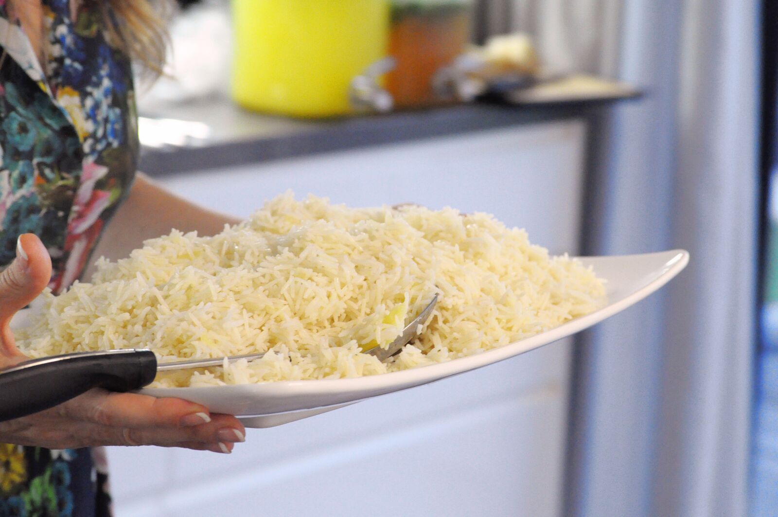 Nikon D5000 sample photo. Rice, plate, plate of photography