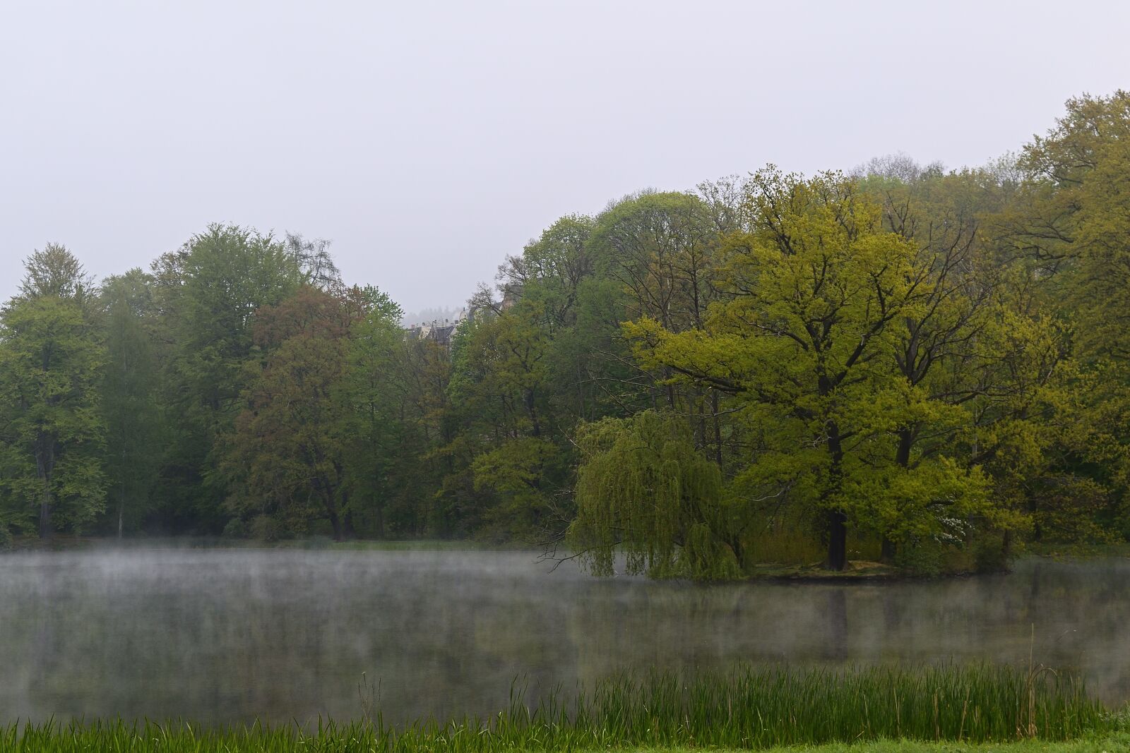 Nikon D5600 sample photo. Sunrise, morning, fog photography