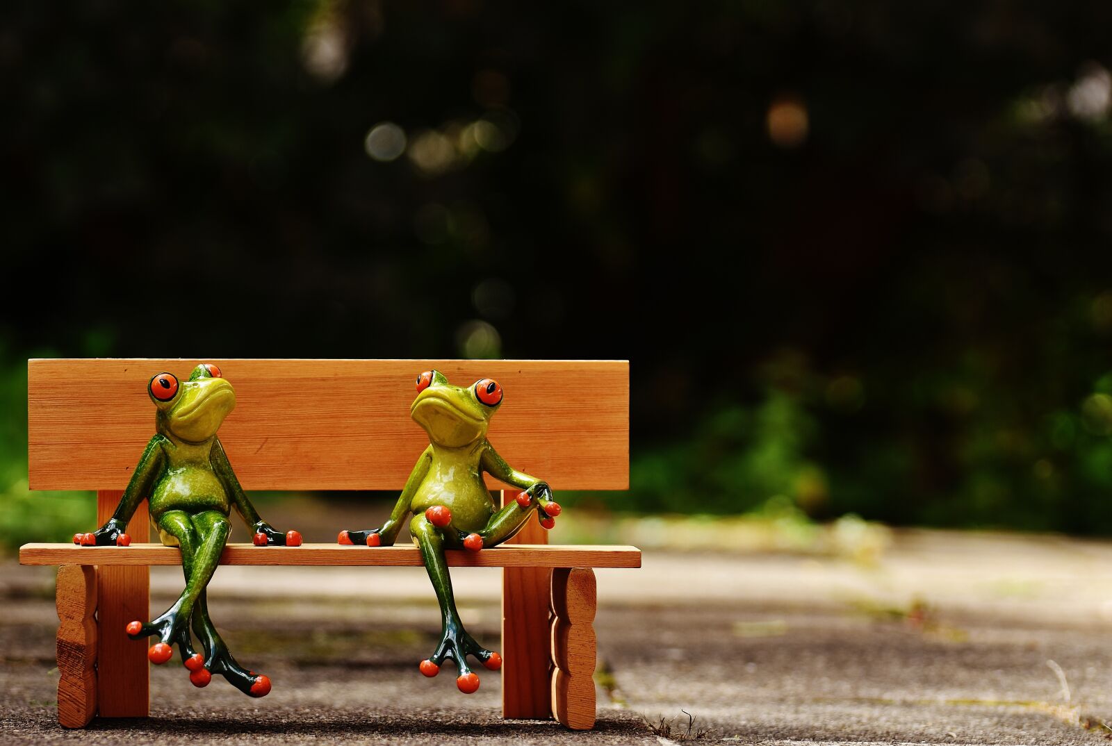 Nikon D7200 sample photo. Friends, sit, frogs photography
