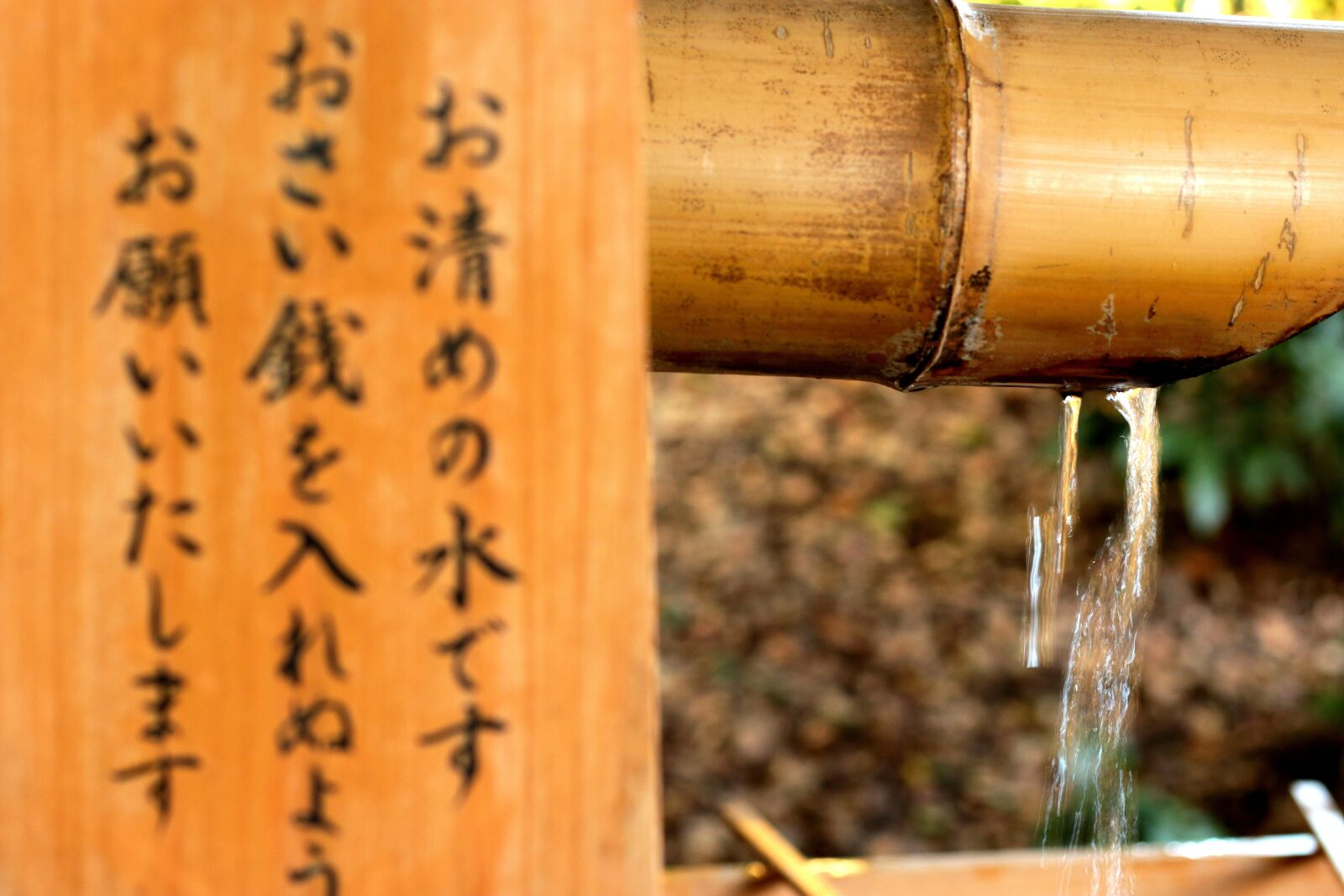 Canon EOS 70D + Canon EF 50mm F1.8 STM sample photo. Wood, water, spoon photography