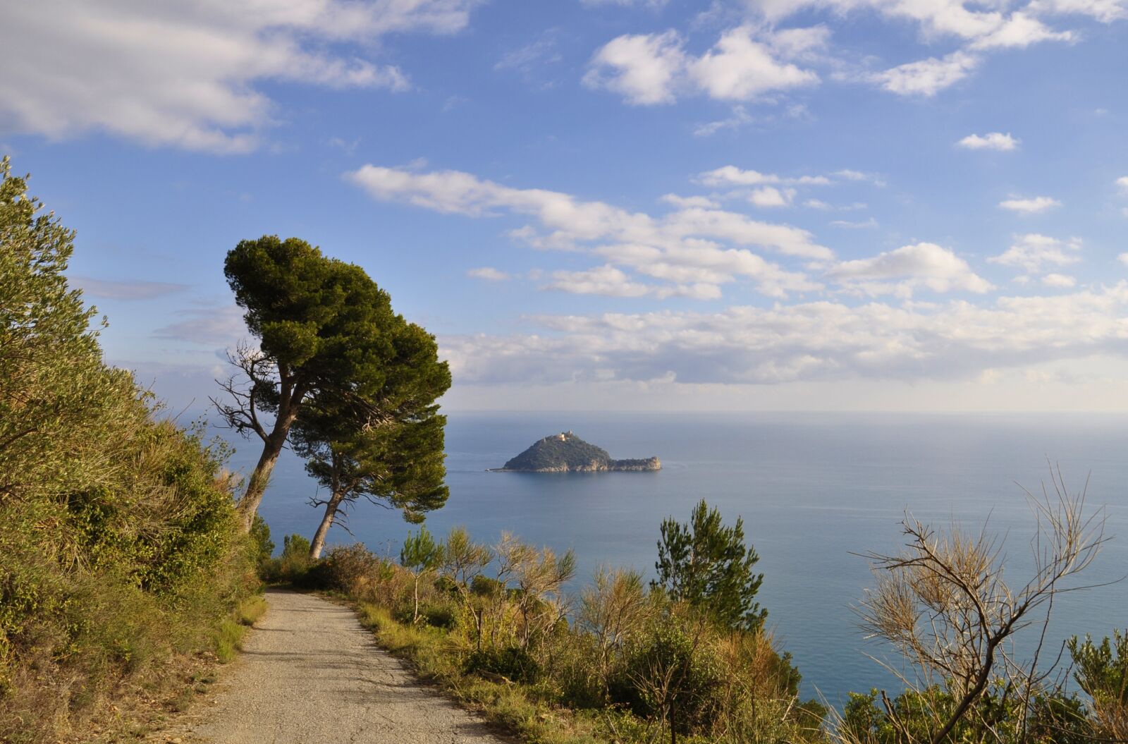 Nikon D5000 sample photo. Sea, maritime pine, island photography