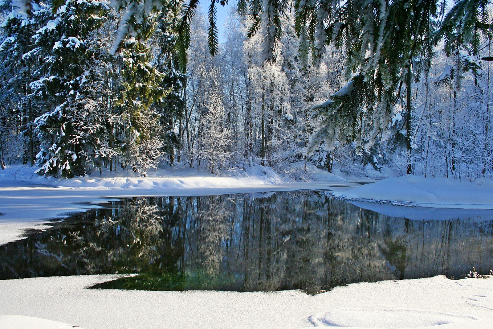 Canon EOS 350D (EOS Digital Rebel XT / EOS Kiss Digital N) sample photo. Winter, gatchina, frost photography
