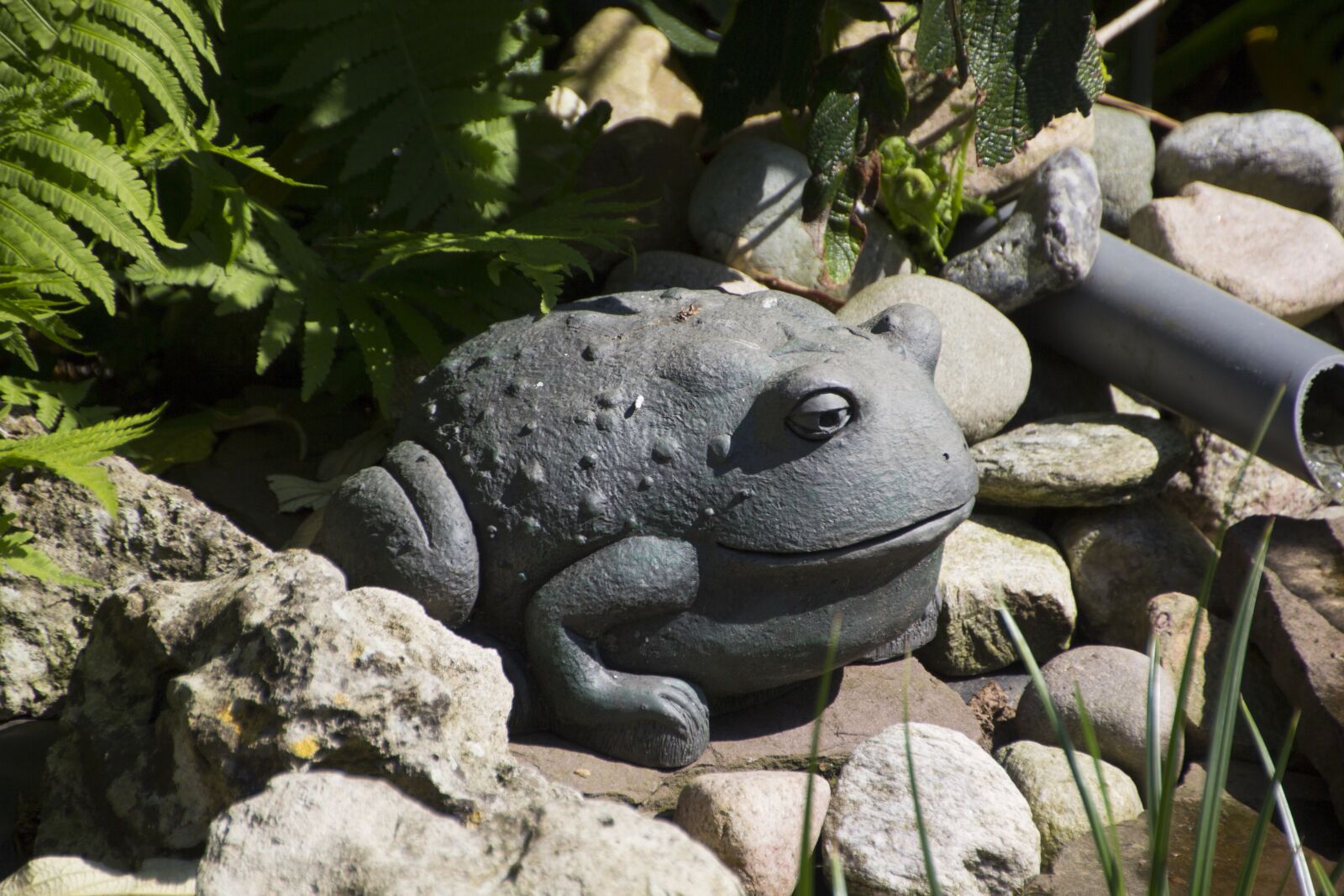 Canon EOS 60D sample photo. Deco, frog, cute photography